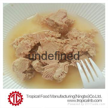 Canned light meat tuna in oil 