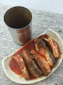 Canned Mackerel in Tomato sauce  2