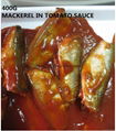 Canned Mackerel in Tomato sauce  1