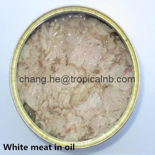 Canned white tuna in oil