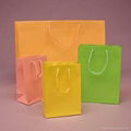  U color made customized paper bag 