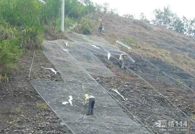 预防水土流失山体防护用绿化网