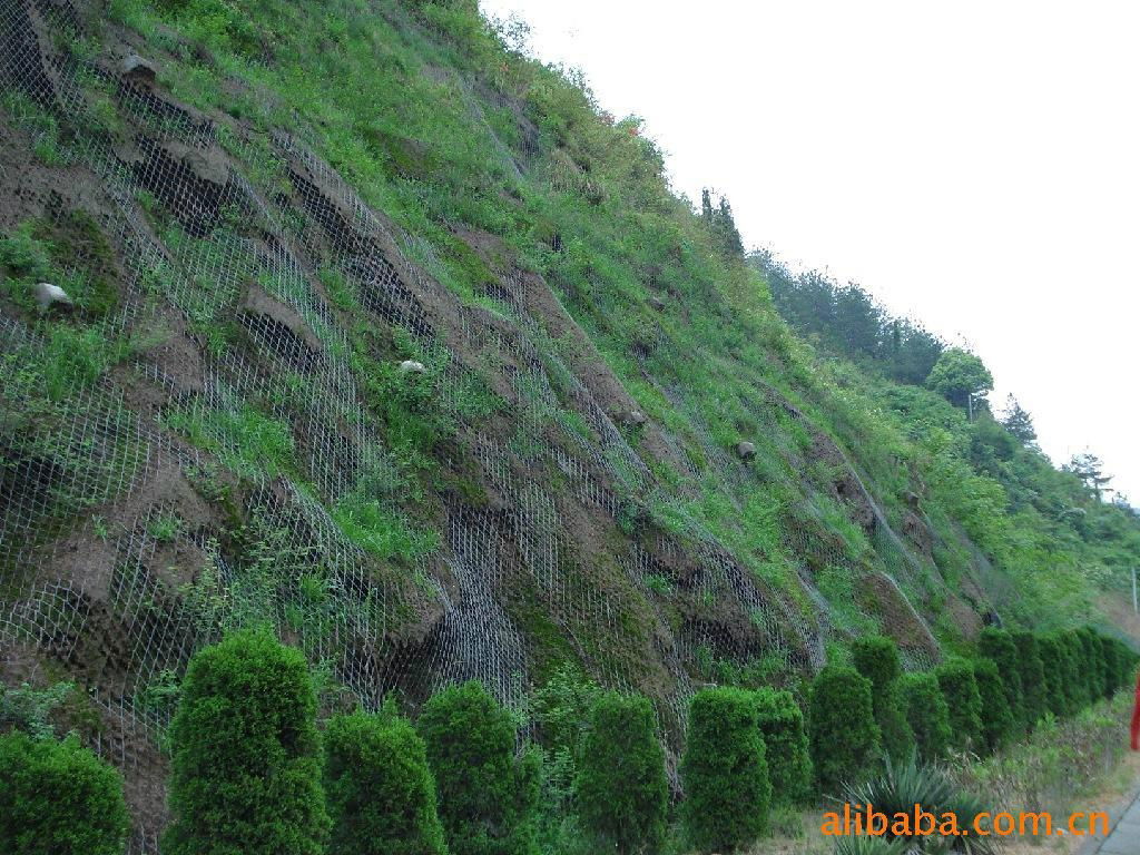 預防水土流失山體防護用綠化網 2