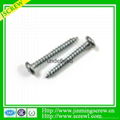 China screw manufacturer self tapping screw