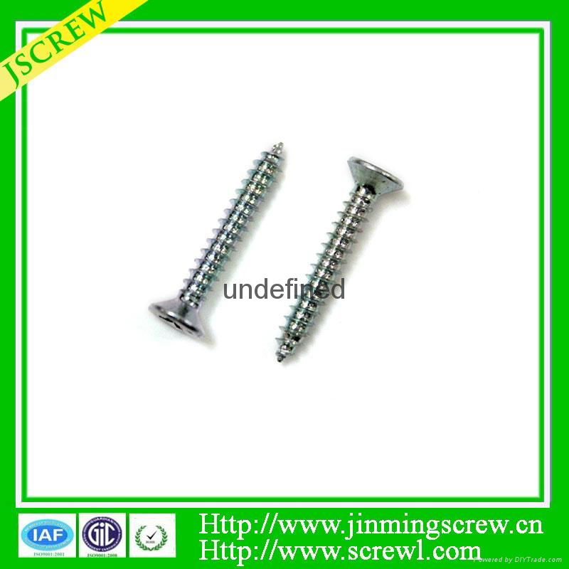 China screw manufacturer self tapping screw 2