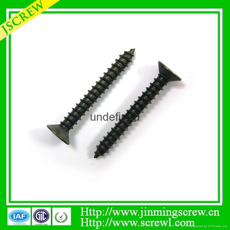 China screw manufacturer self tapping screw 3