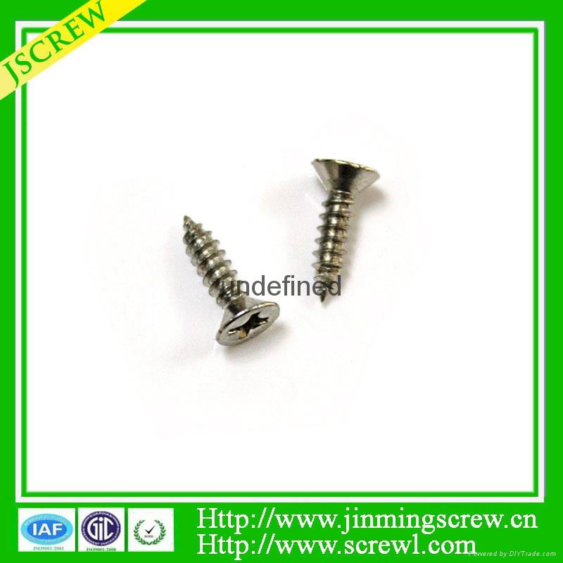 China screw manufacturer self tapping screw 4