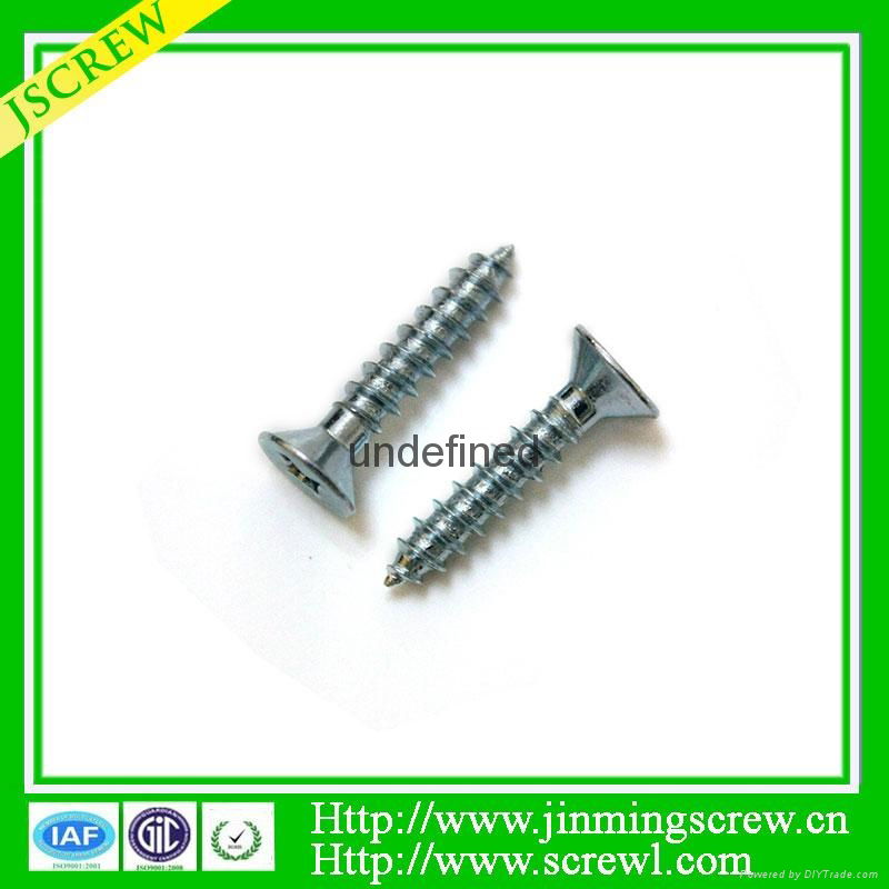 China screw manufacturer self tapping screw 5