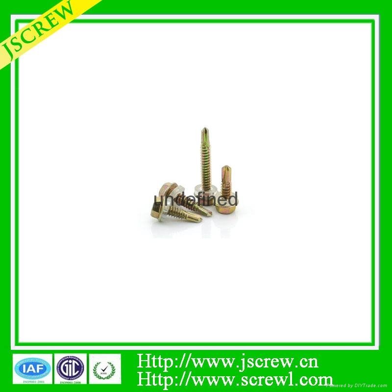 China factory self drilling screw  5