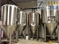 Stainless steel beer conical fermenter