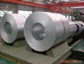 ASPL0008 -  Galvanized Steel Coils 1