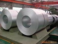 ASPL0008 -  Galvanized Steel Coils