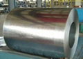 ASPL0008 -  Galvanized Steel Coils 2