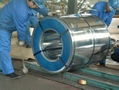 ASPL0008 -  Galvanized Steel Coils 3