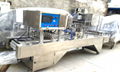  ASPL0054 - Plastic Cup production line 12