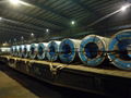 ASPL0008 -  Galvanized Steel Coils 5