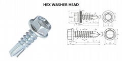 Hex Washer Head Roofing Screw