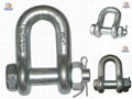 Drop Forged U. S. Type  Screw Pin Anchor Shackle 4