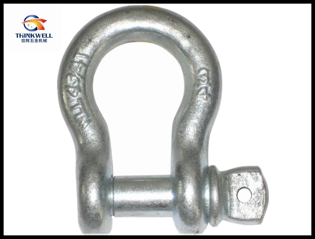 Drop Forged U. S. Type  Screw Pin Anchor Shackle 5