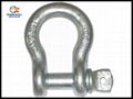 Drop Forged U. S. Type  Screw Pin Anchor Shackle 5