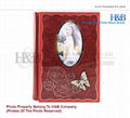 H&B wholesales new design 8*12,12*18 beautiful aunty photo album 4