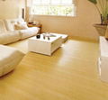 Germany technique HDF laminate wood Flooring AC3 laminate floor