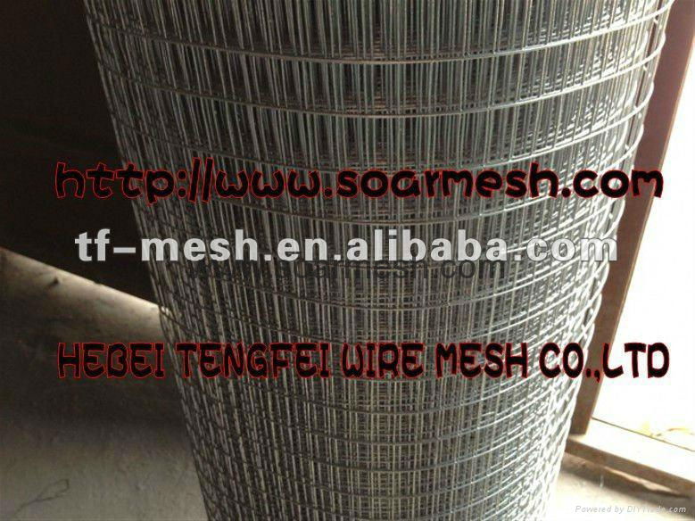 Galvanised Wire Netting (fencing, cages, plant support and protection ISO 9001) 2