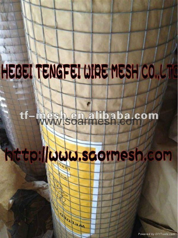 Galvanised Wire Netting (fencing, cages, plant support and protection ISO 9001) 3