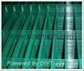 PVC coated welded wire mesh( ISO 9001)