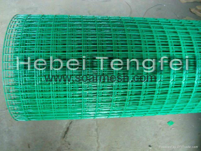 PVC coated welded wire mesh( ISO 9001) 2