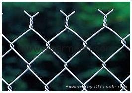 Galvanised Wire Chain Link Fencing ( 25 YEARS EXPERIENCES ISO 9001) 4