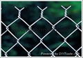 Galvanised Wire Chain Link Fencing ( 25 YEARS EXPERIENCES ISO 9001) 4