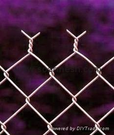 Galvanised Wire Chain Link Fencing ( 25 YEARS EXPERIENCES ISO 9001) 3