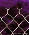 Galvanised Wire Chain Link Fencing ( 25 YEARS EXPERIENCES ISO 9001) 3