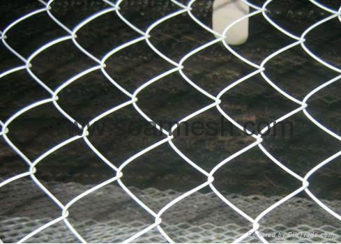 Galvanised Wire Chain Link Fencing ( 25 YEARS EXPERIENCES ISO 9001) 5