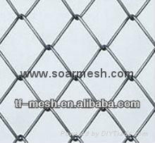 Vinyl Coated Chain Link Fencing Mesh ( DIRECT FACTORY ISO 9001)