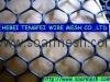 Plastic Netting ( Oyster hdpe mesh ISO 9001)