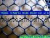 Plastic Netting ( Oyster hdpe mesh ISO