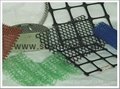Plastic Netting ( Oyster hdpe mesh ISO 9001) 4