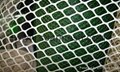 Plastic Netting ( Oyster hdpe mesh ISO 9001) 5
