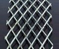Stainless steel Expanded mesh(factory ISO 9001) 1