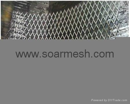 Stainless steel Expanded mesh(factory ISO 9001) 3
