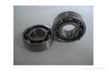 6000 Zz 2RS Deep Groove Ball Bearings