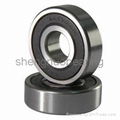 Zz 2RS Deep Groove Ball Bearings for