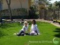 Synthetic grass for landscaping