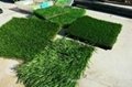Synthetic grass for landscaping 4