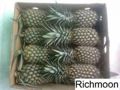 fresh pineapple