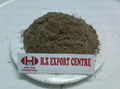 Sell Fish Meal 1