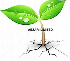 Abzari Limited