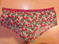 Ladies Panties 4